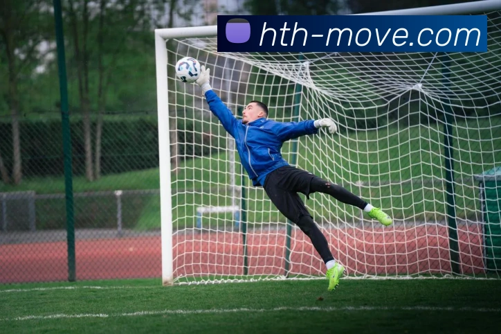 华体会平台生态图